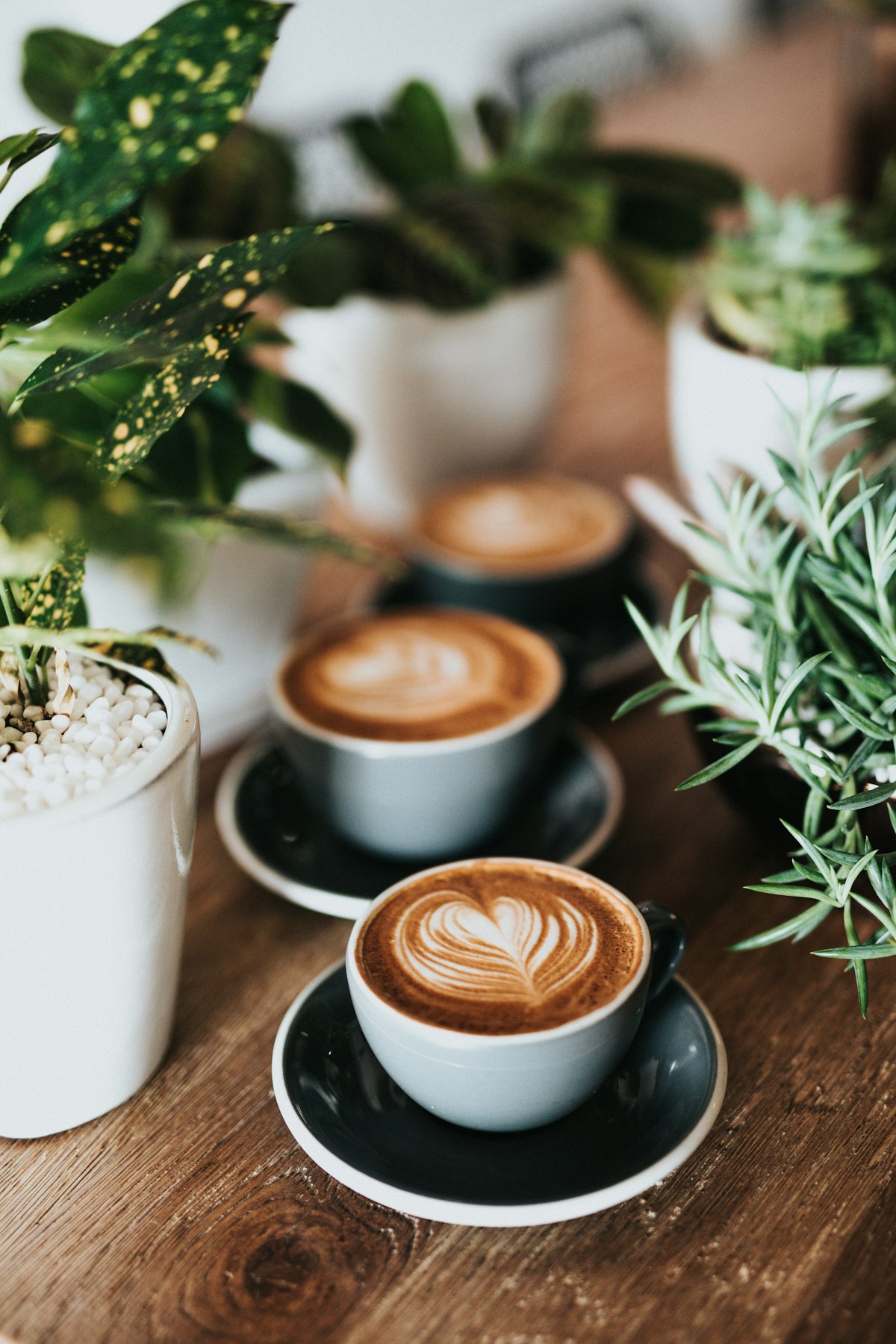 Coffee cup